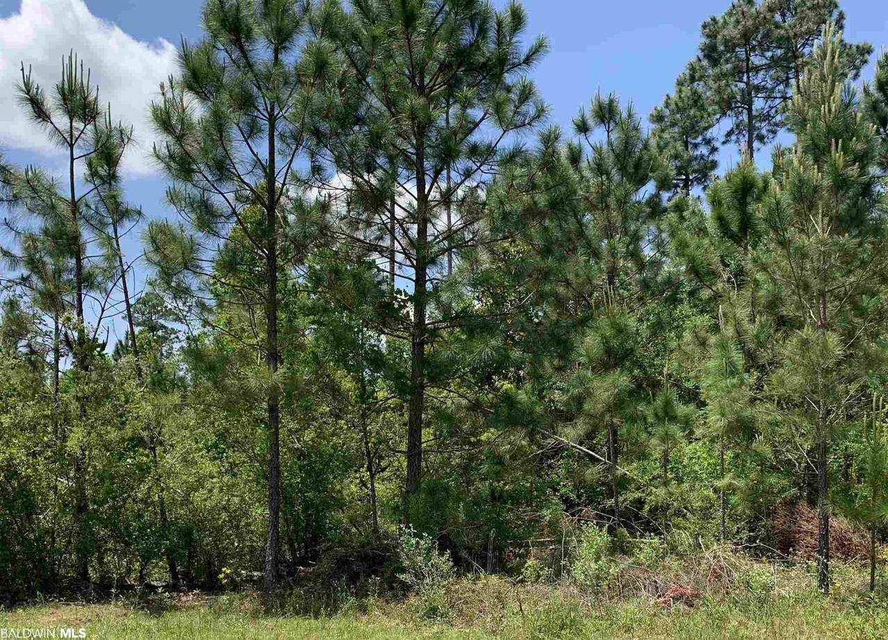 0 Weatherly Cove - Photo 1