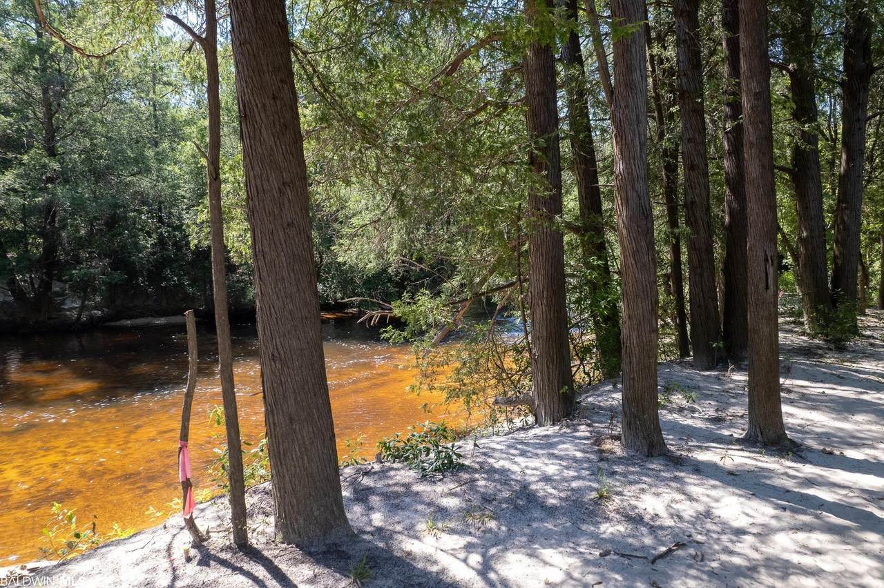 2588 Wolf Log Rd - Photo 1