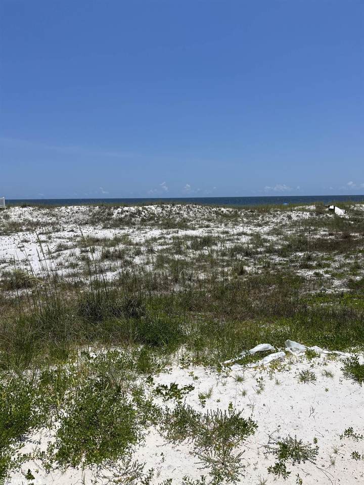 23726 Perdido Beach Blvd - Photo 1