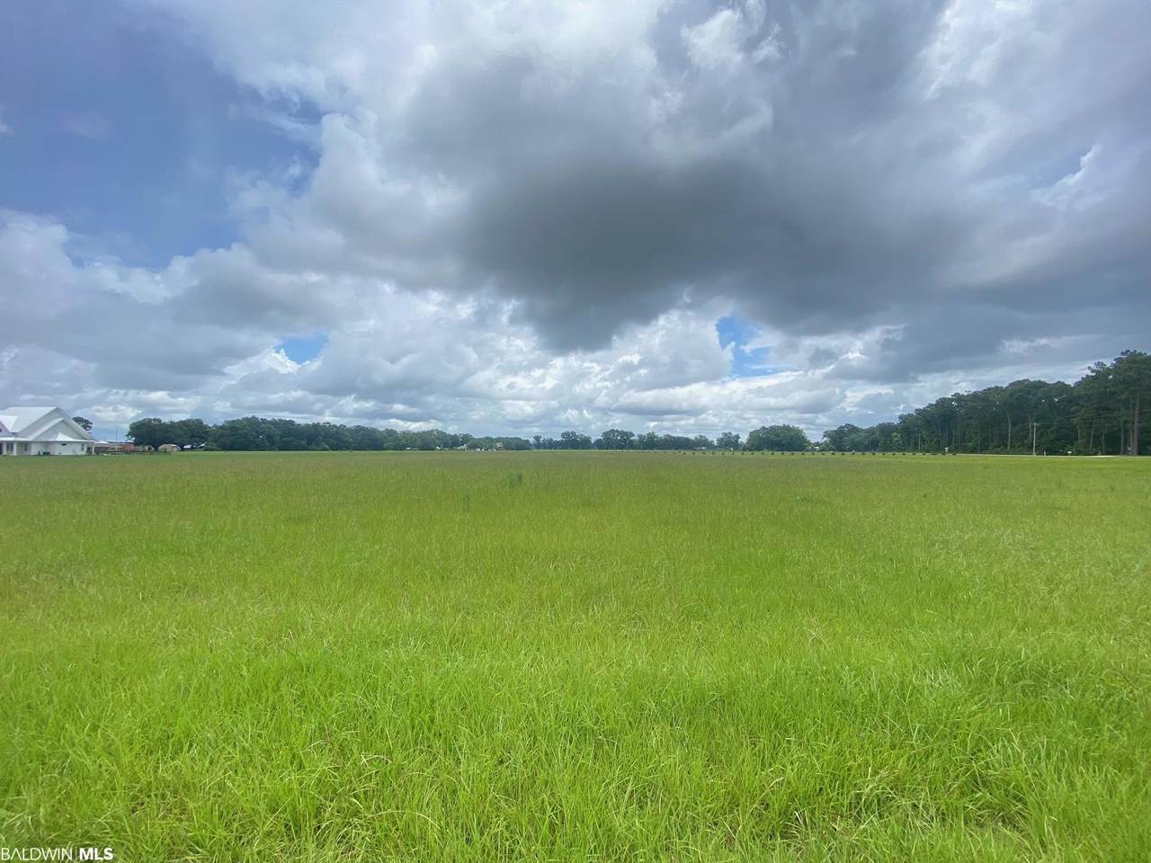 12029 County Road 54 - Photo 1