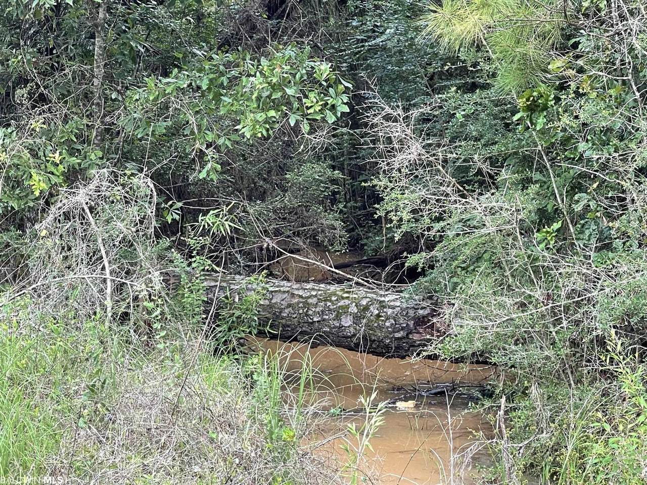 01 Wolf Log Rd - Photo 1