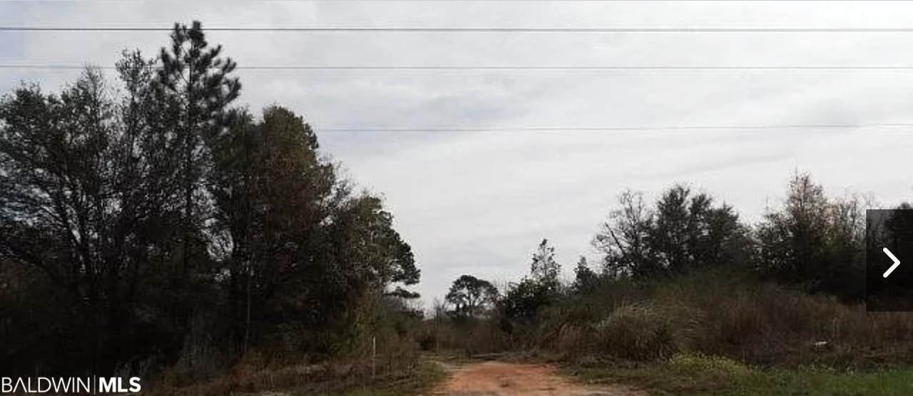 10804 County Road 95 - Photo 1