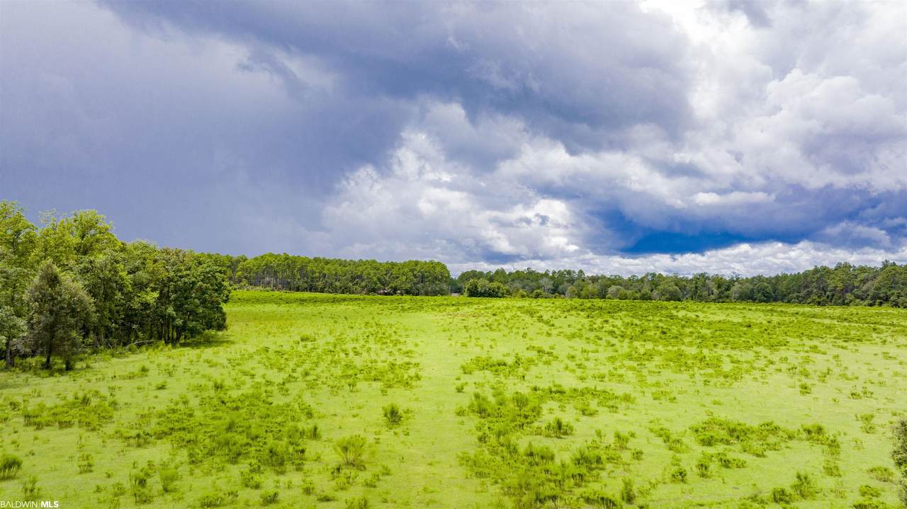 11515 County Road 97 - Photo 1