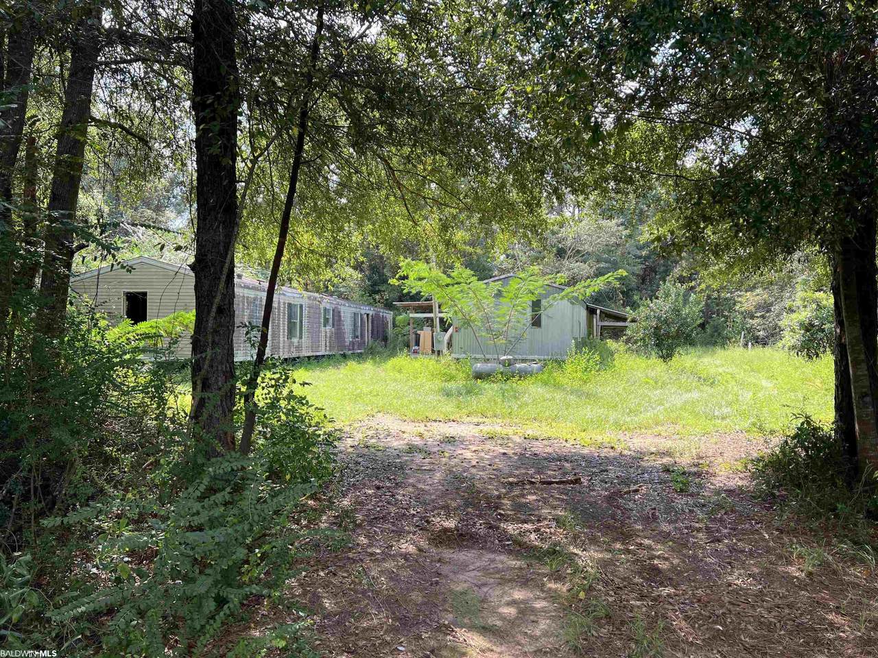 24982 Patterson Road - Photo 1