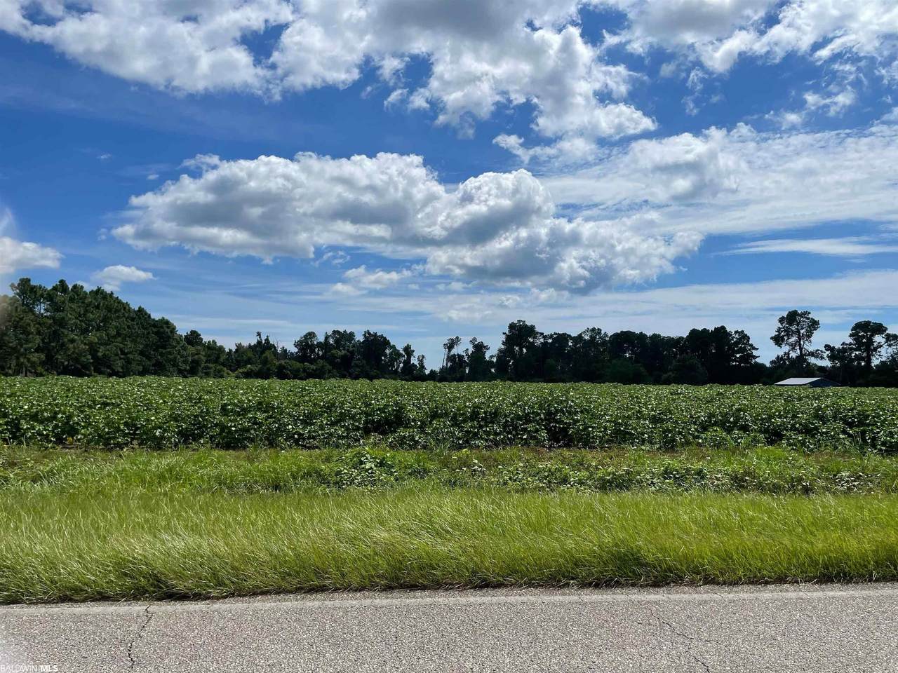 9420 County Road 24 - Photo 1