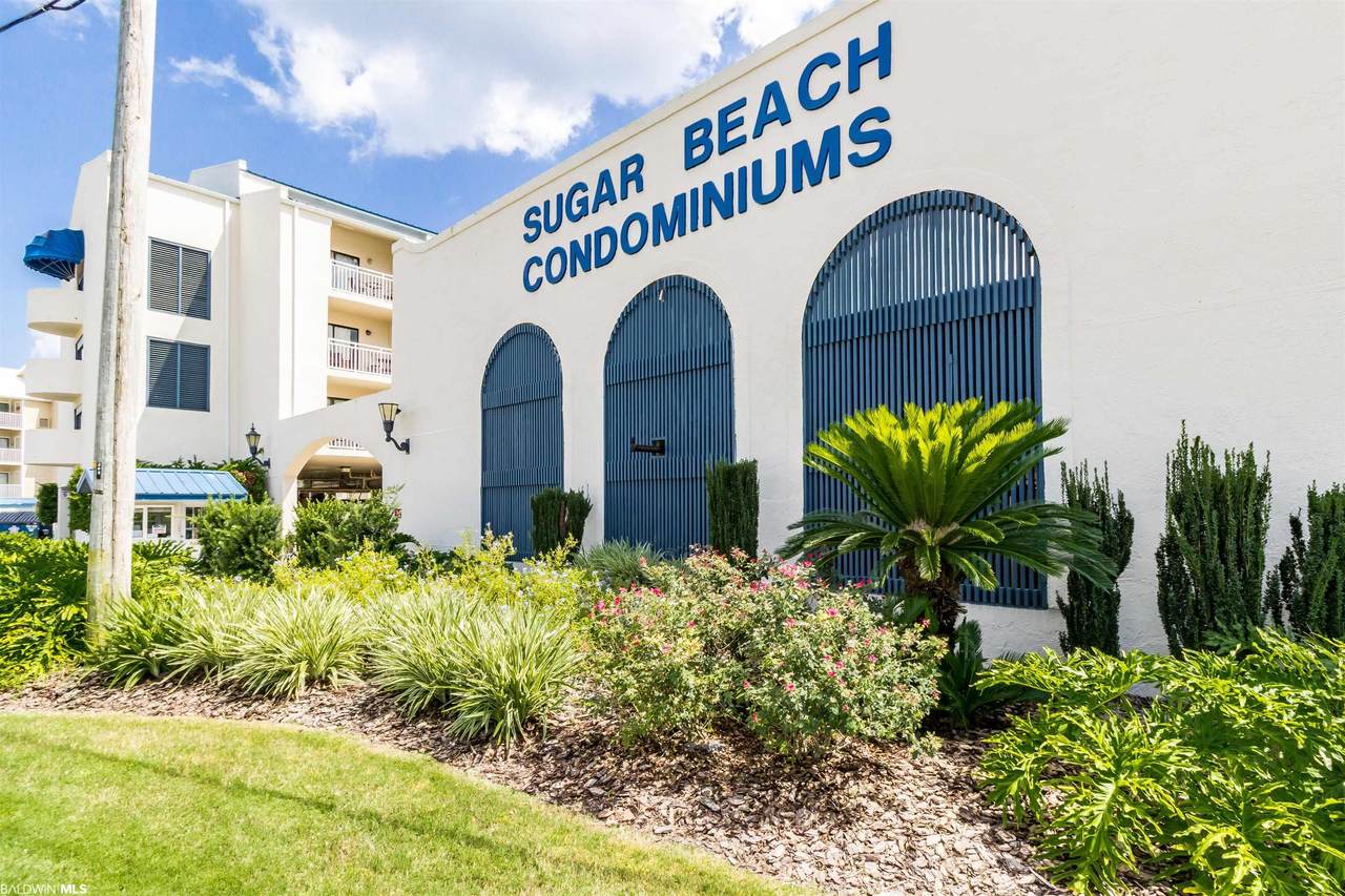 23044 Perdido Beach Blvd - Photo 1