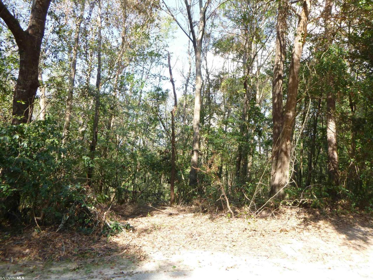 30471 D'olive Ridge - Photo 1