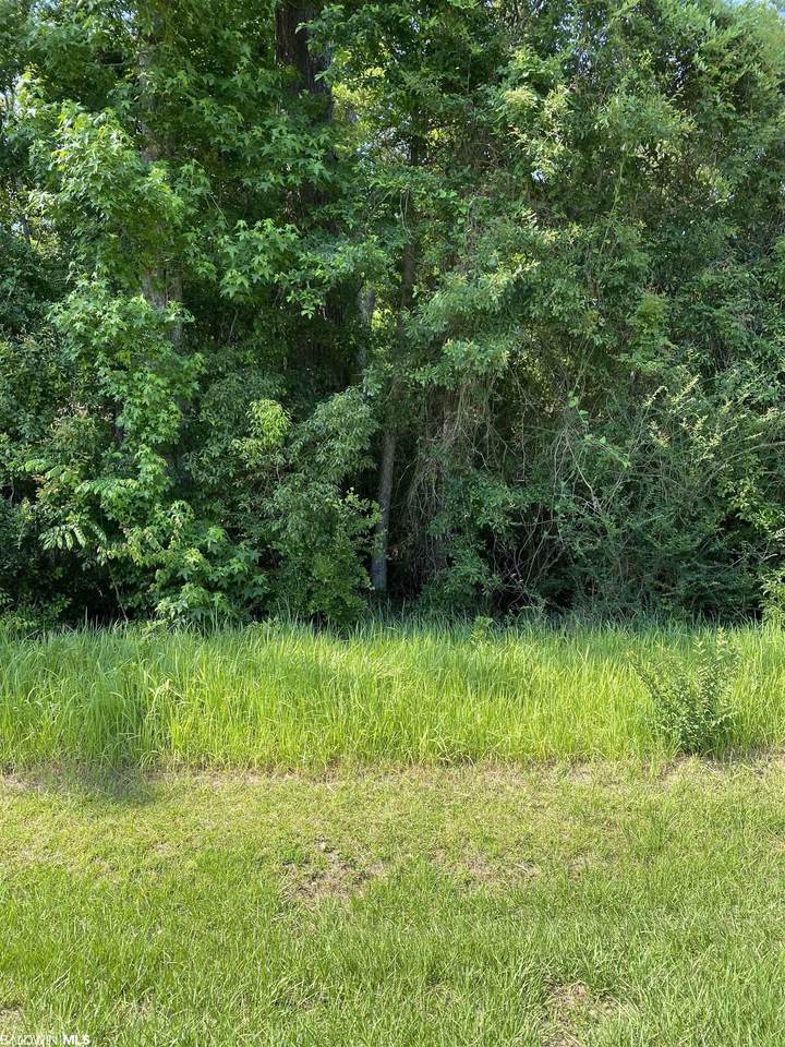 0 Victorian Drive - Photo 1
