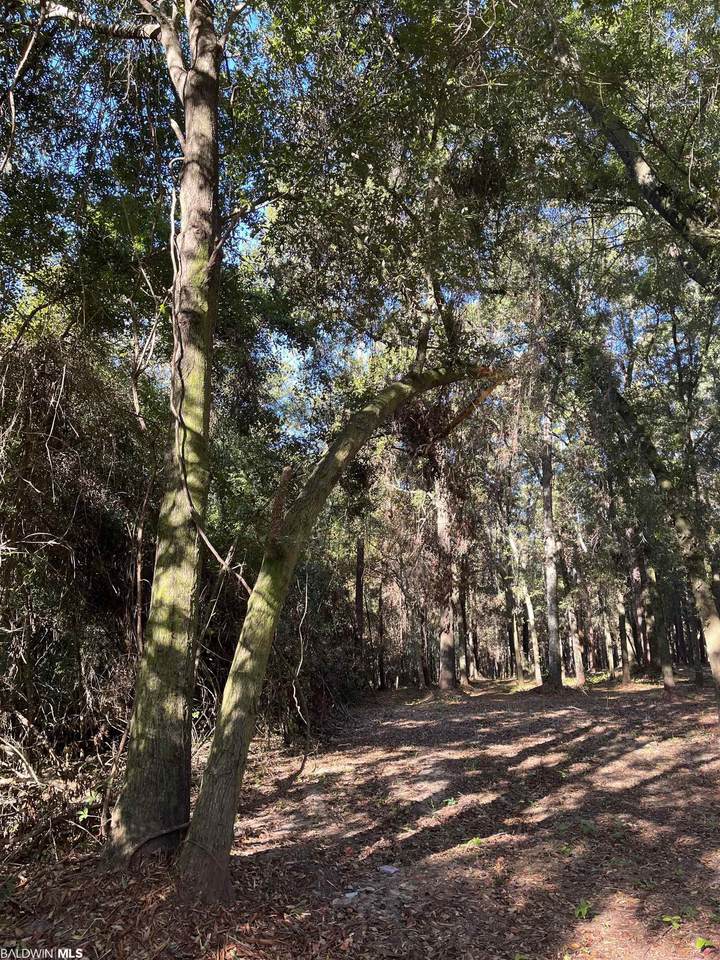 0 Forest Dell Rd - Photo 1