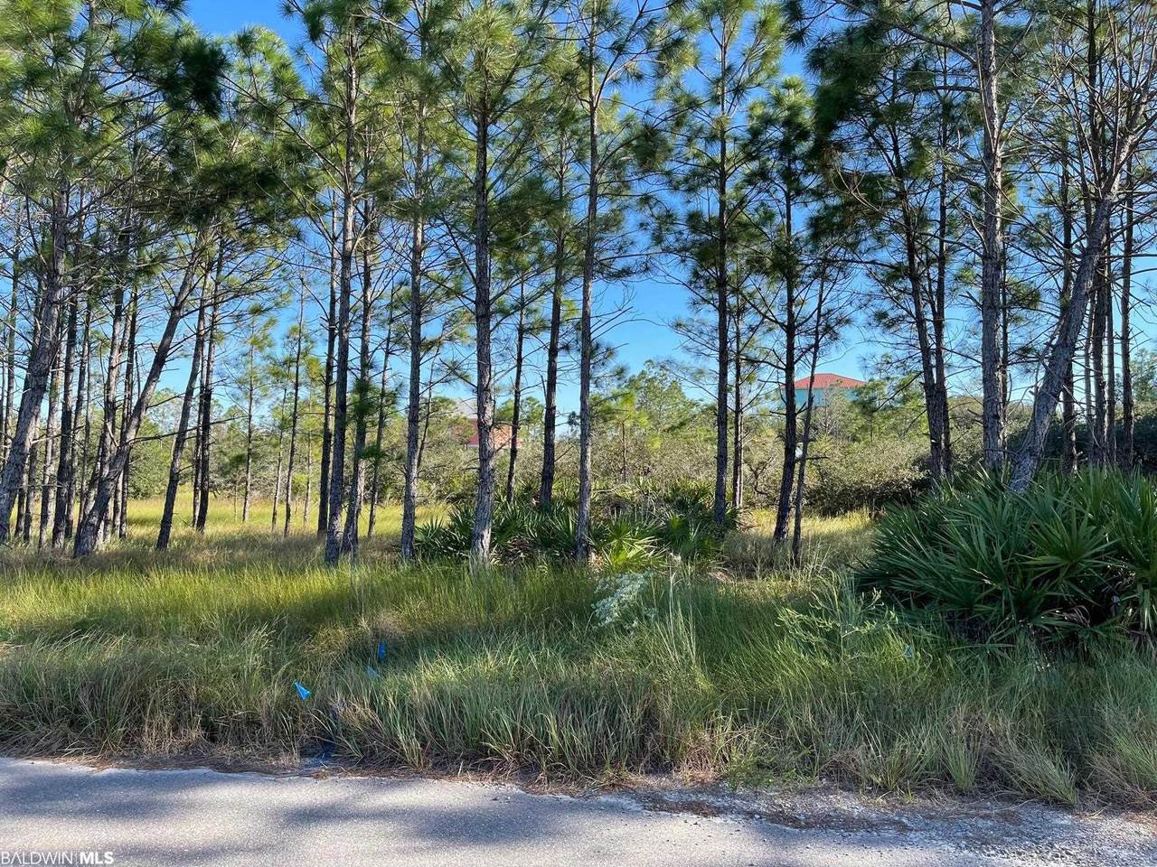 6680 Driftwood Dr - Photo 1