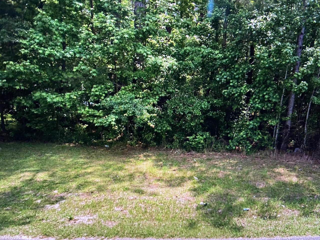 1651 Laurel St - Photo 1