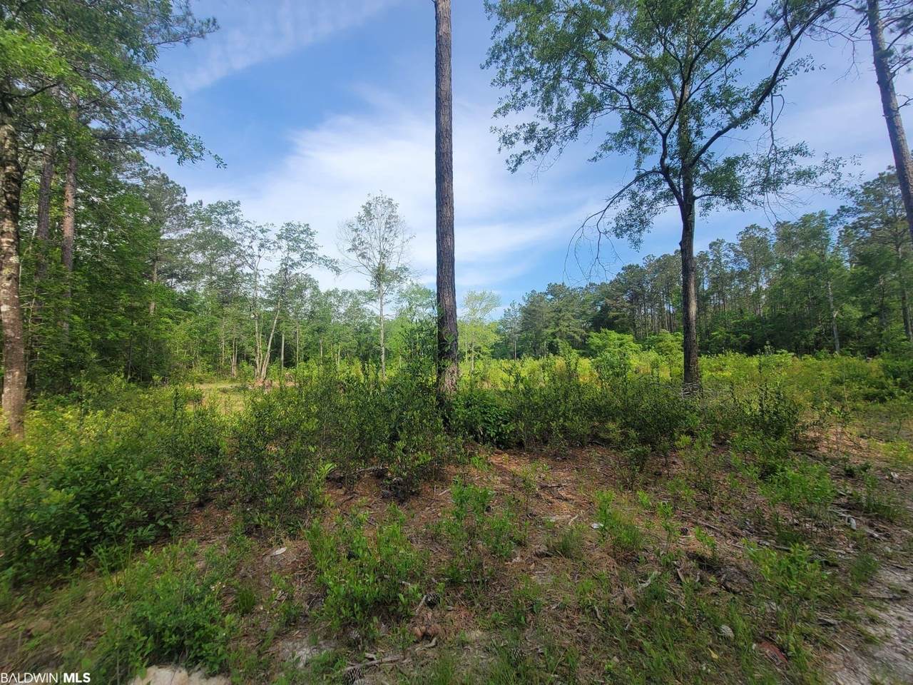 0 Harmon Williams Road - Photo 1