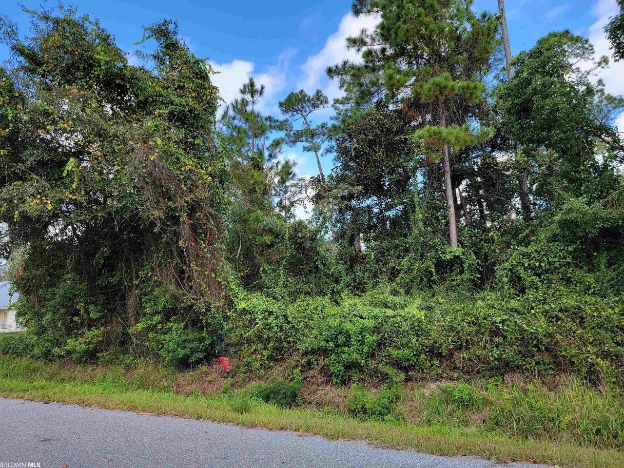 26222 Terry Cove Drive - Photo 1