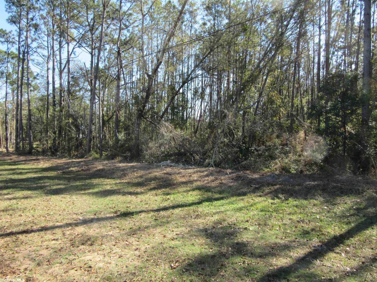 LOT 8 County Road 12 - Photo 1