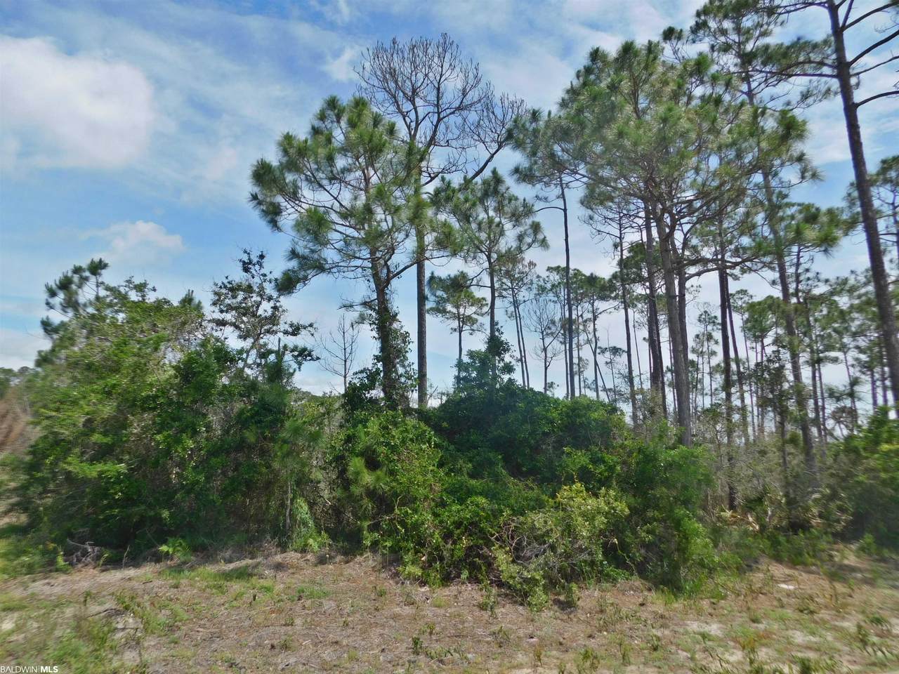 16178 Tarpon Dr - Photo 1