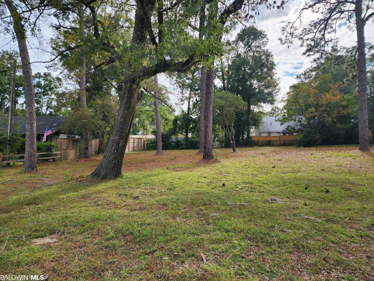 210 Tensaw Avenue - Photo 1