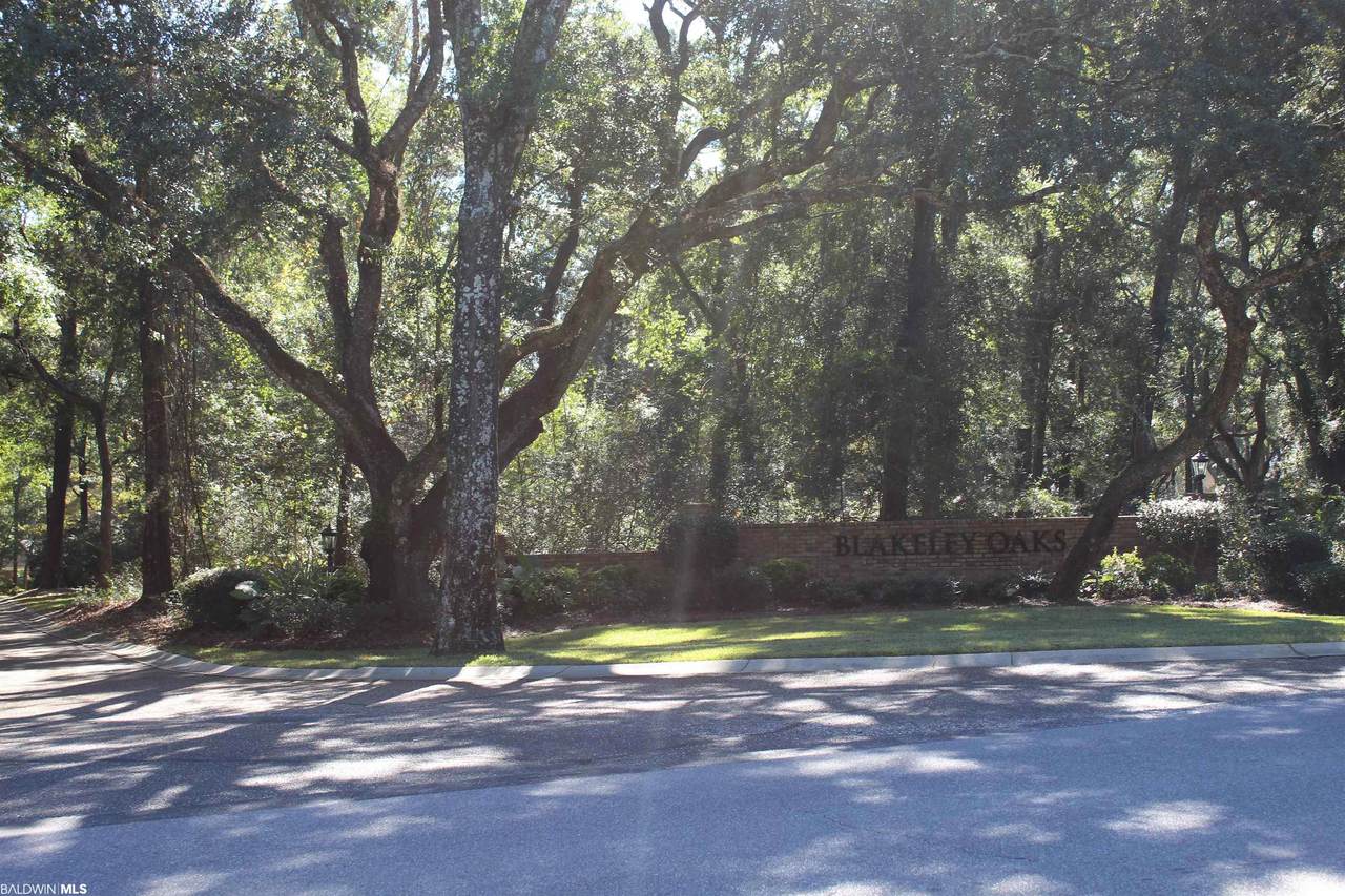 0 Blakeley Oaks Court - Photo 1