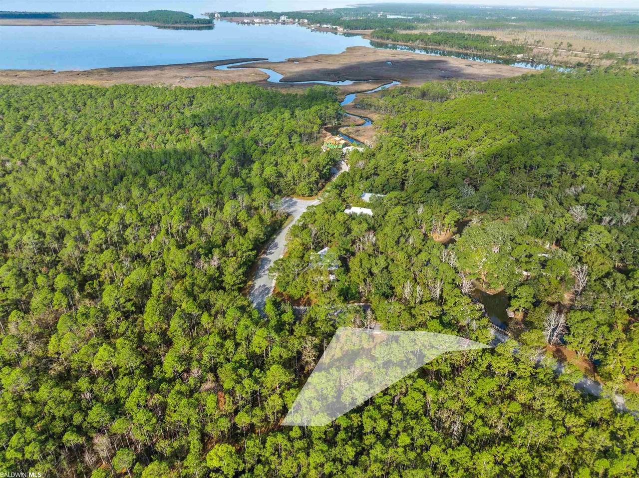308 Mossy Oak Dr - Photo 1