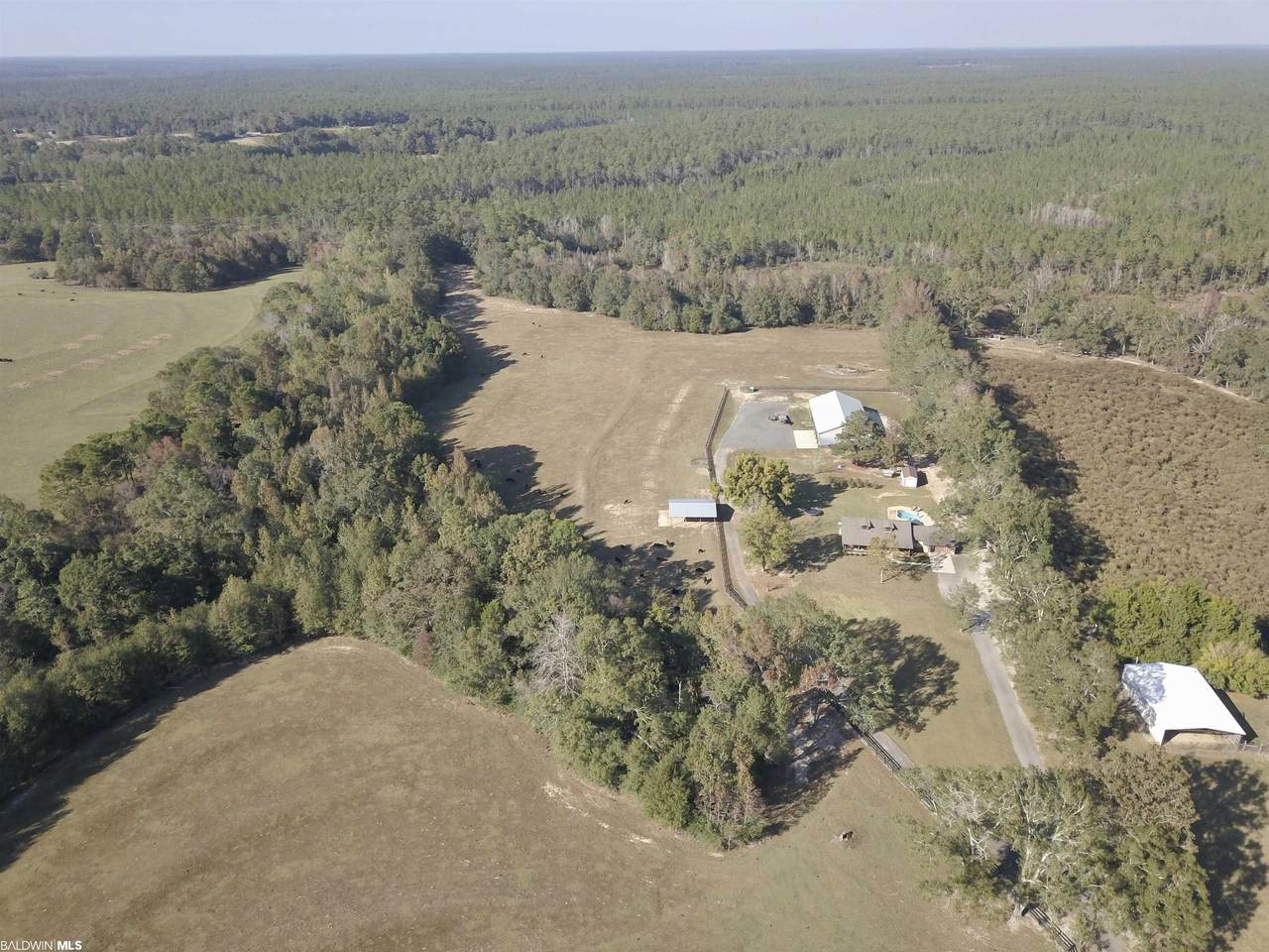 1329 Highway 180 - Photo 1