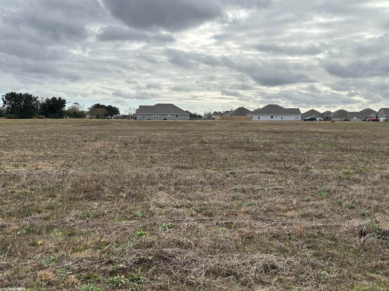27272 Valamour Blvd - Photo 1