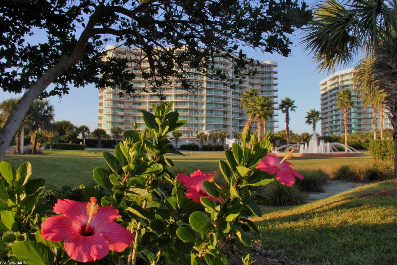 28103 Perdido Beach Blvd - Photo 1