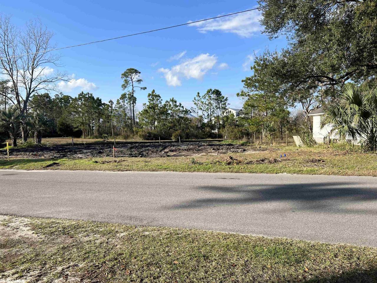 27050 Palmetto Dr - Photo 1