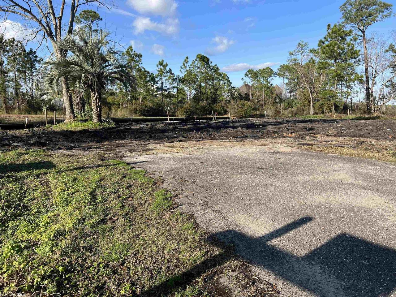 27050 Palmetto Dr - Photo 1