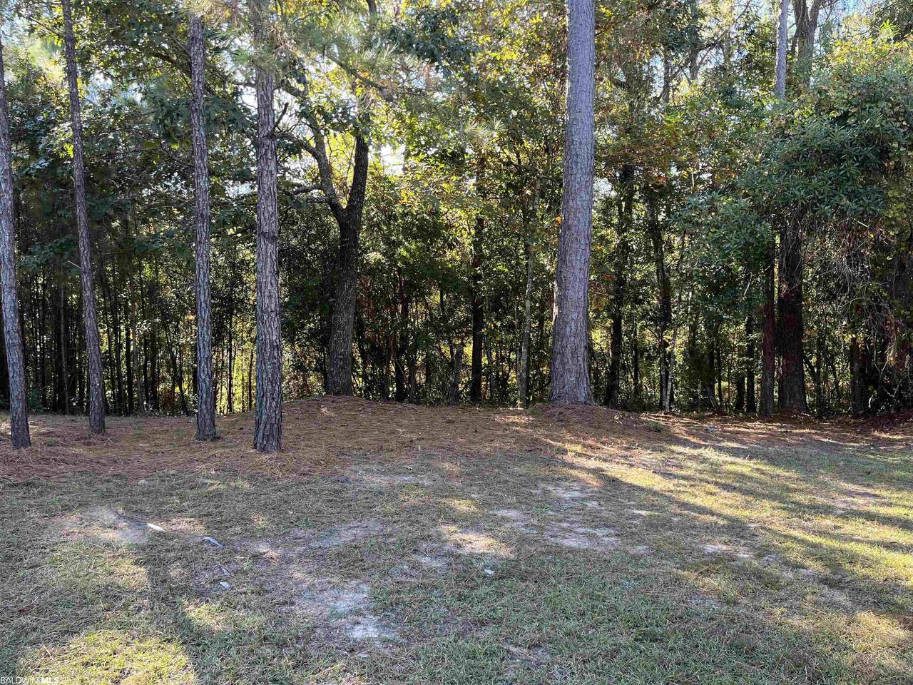 1 Bugle Retreat - Photo 1