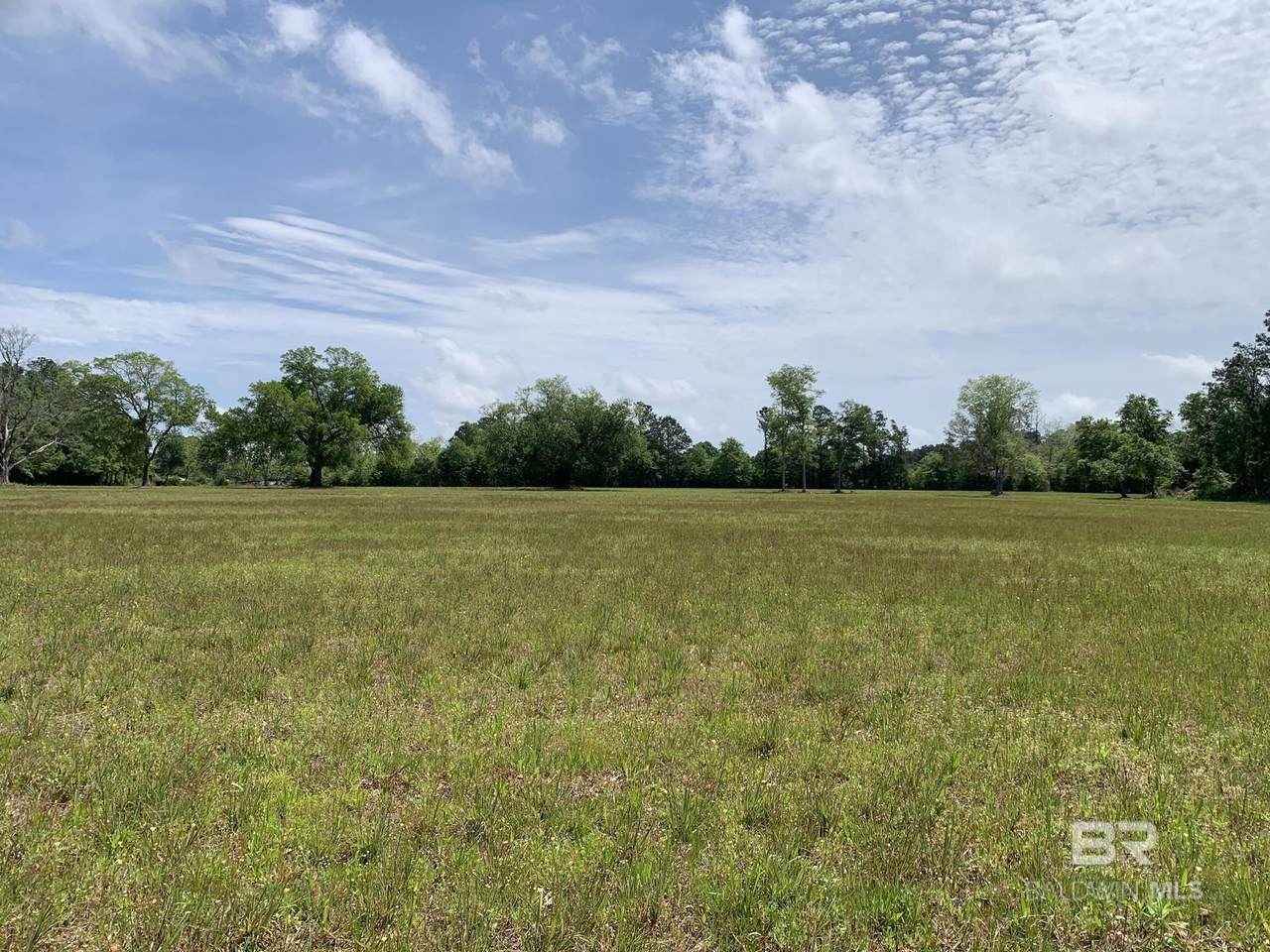12308 County Road 87 - Photo 1