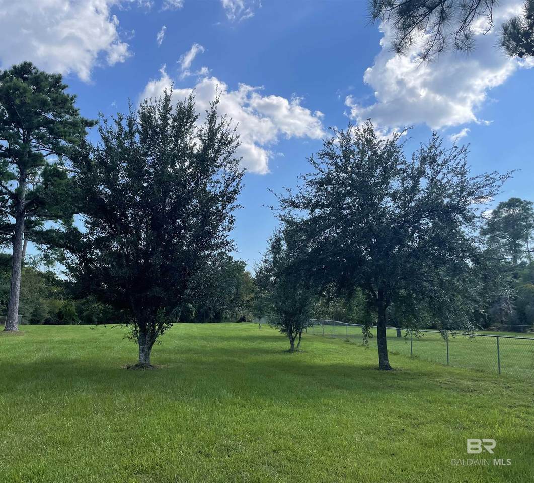 11646 Mockingbird Lane - Photo 1