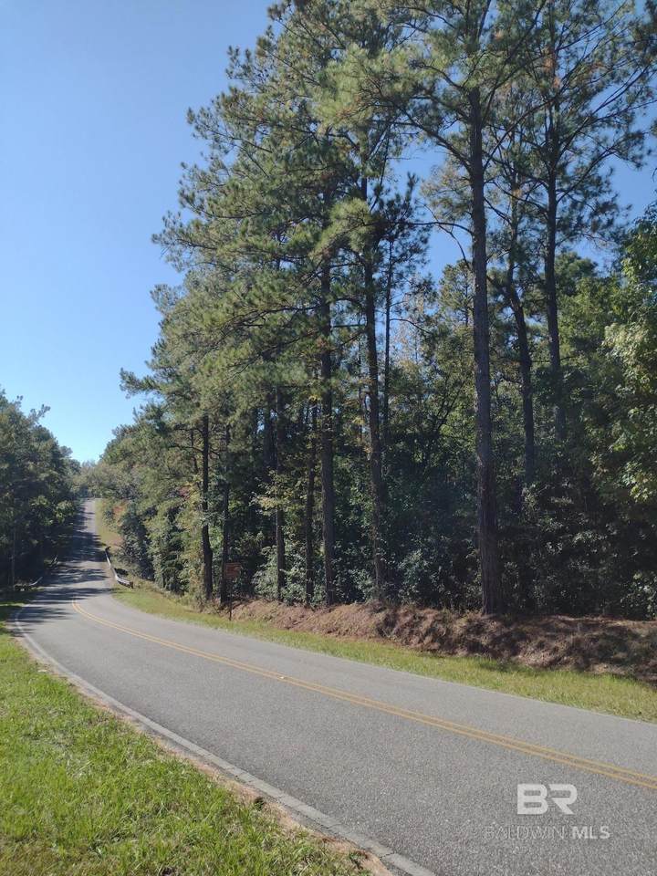 0 Canaan Road - Photo 1