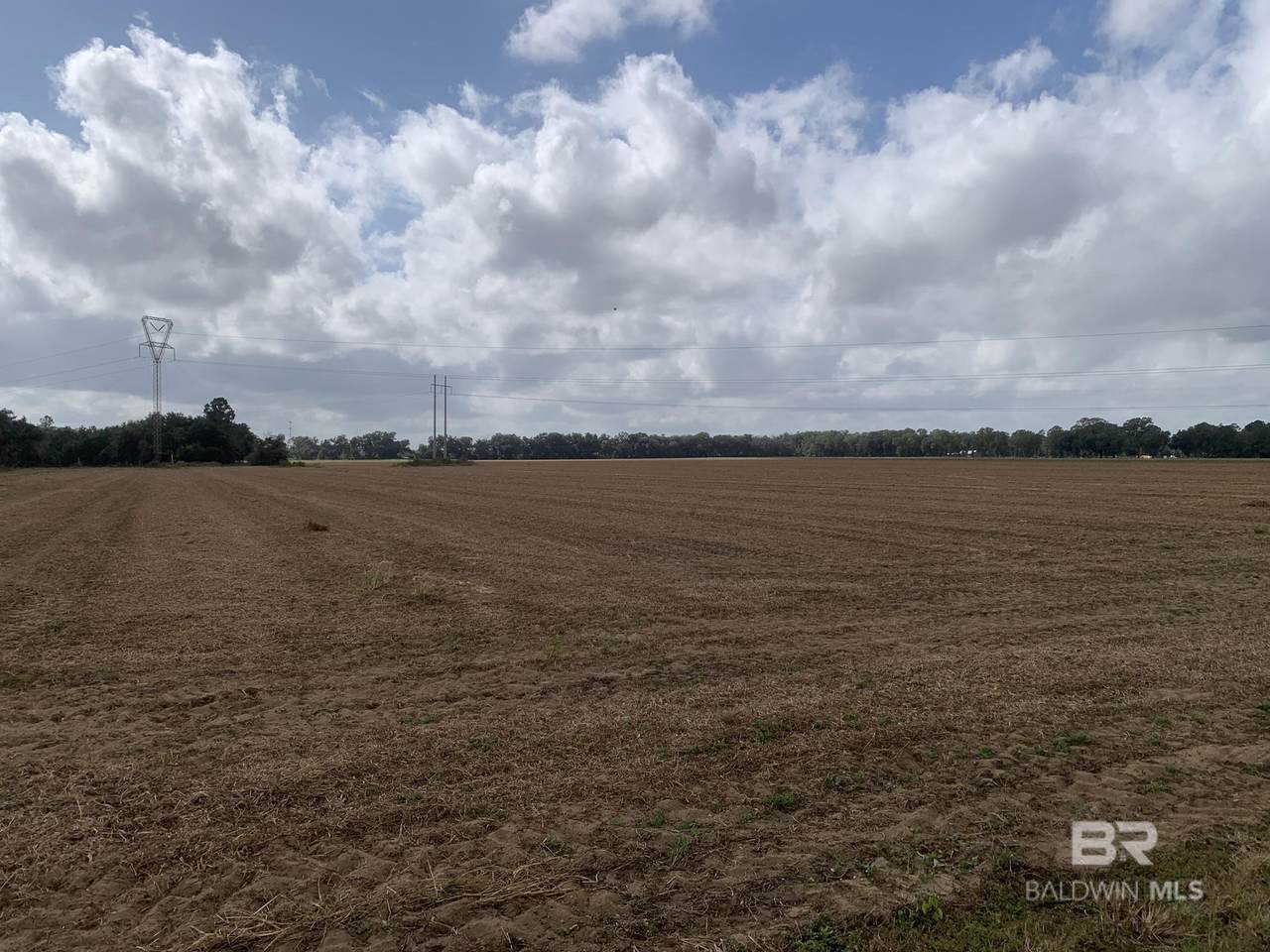 0 County Road 54 - Photo 1