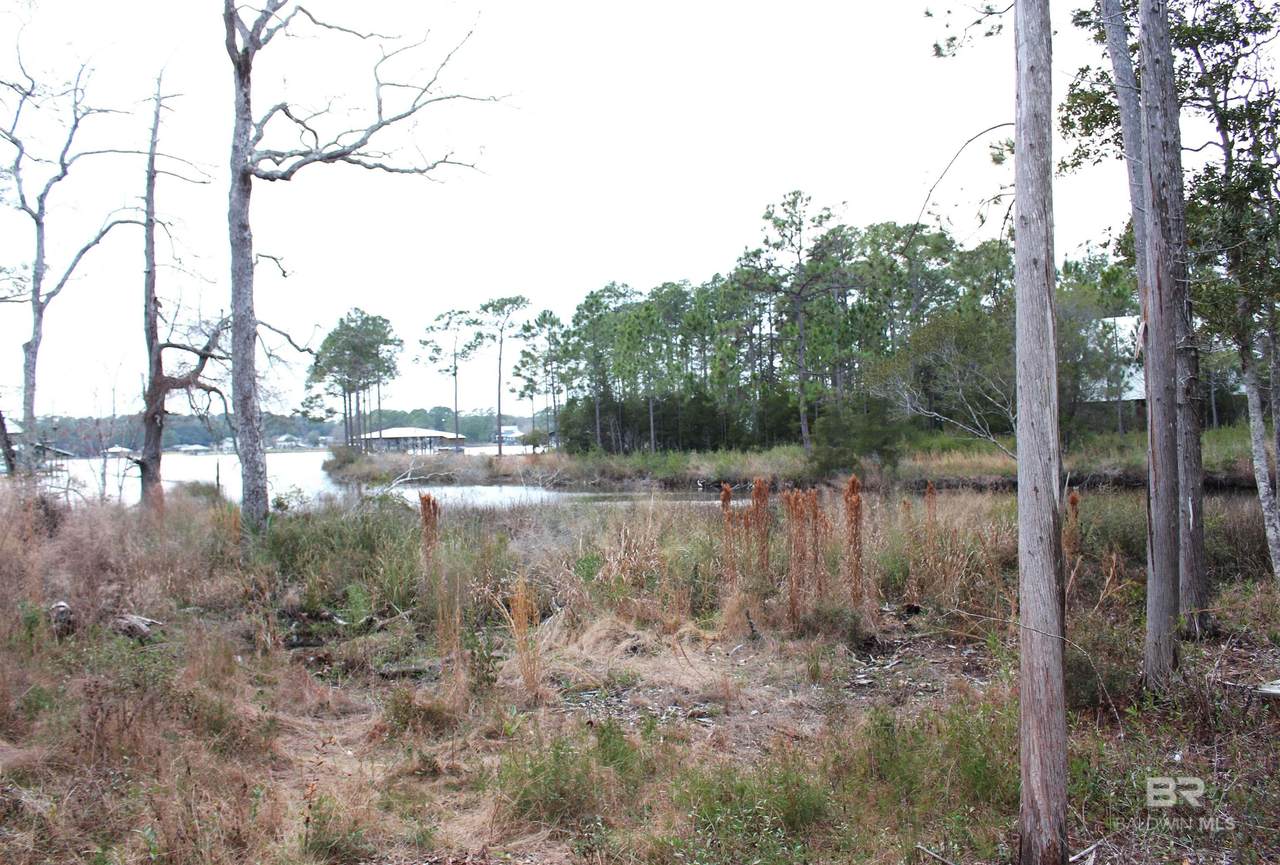 0 Soldier Creek Road - Photo 1