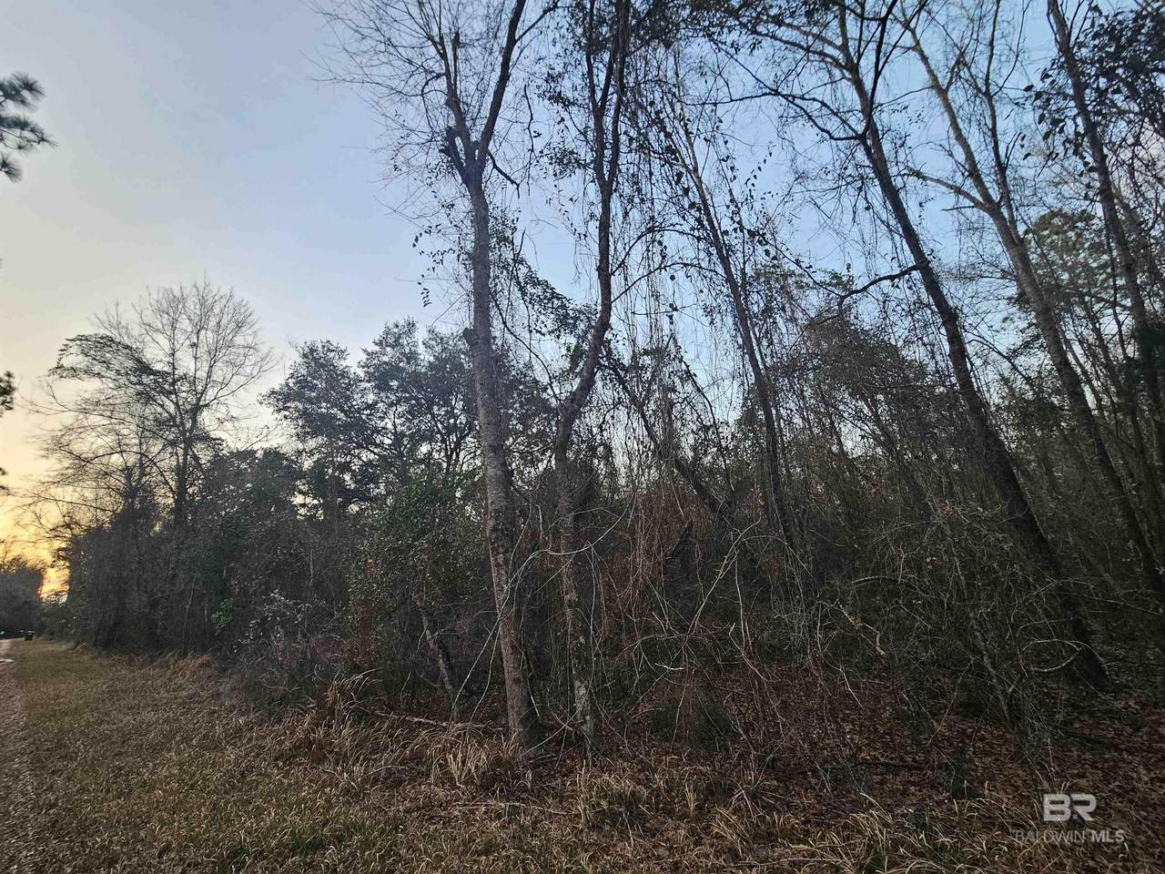 0 Lee Road - Photo 1