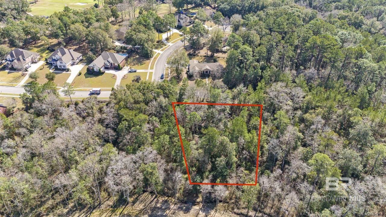 29910 D'olive Ridge - Photo 1