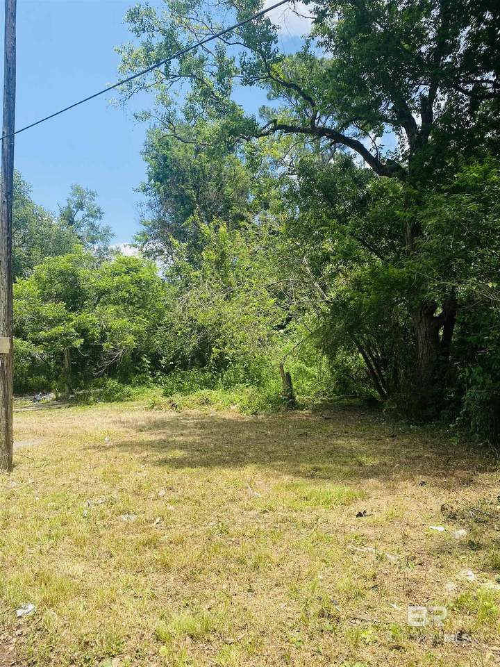 421 Foch Street - Photo 1
