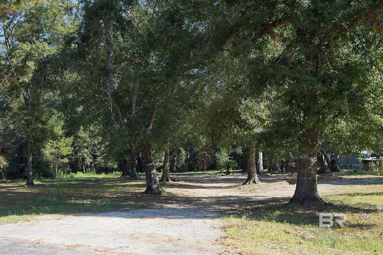 13555 Nolte Creek Drive - Photo 1