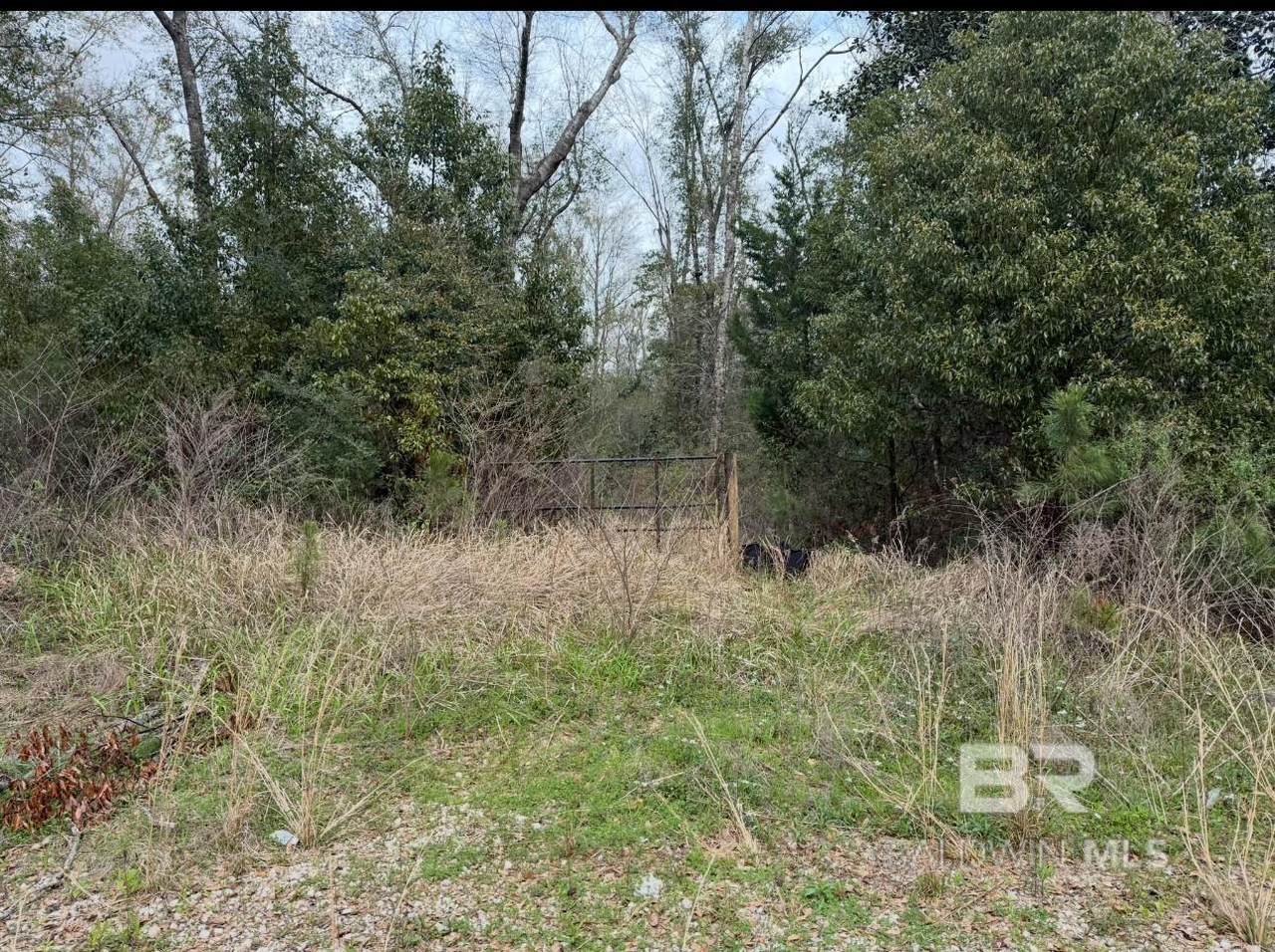 0 Corte Ridge Road - Photo 1