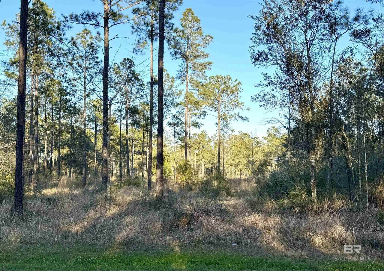 16690 Cc Road - Photo 1