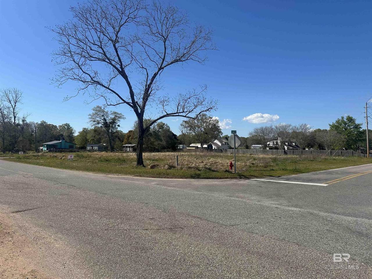 20971 Brinks Willis Road - Photo 1