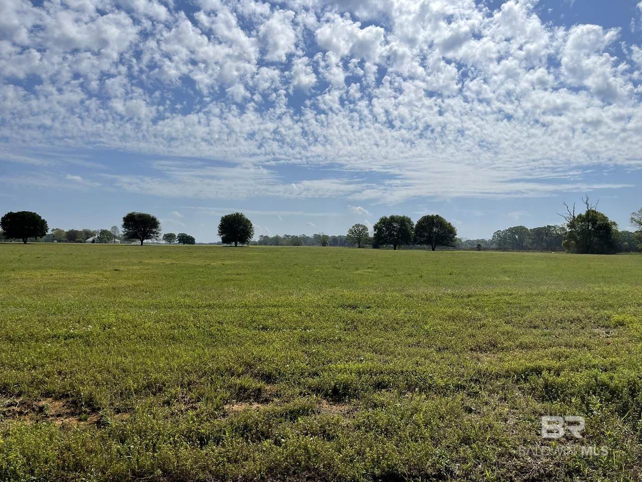 18697 Kendrick Road - Photo 1