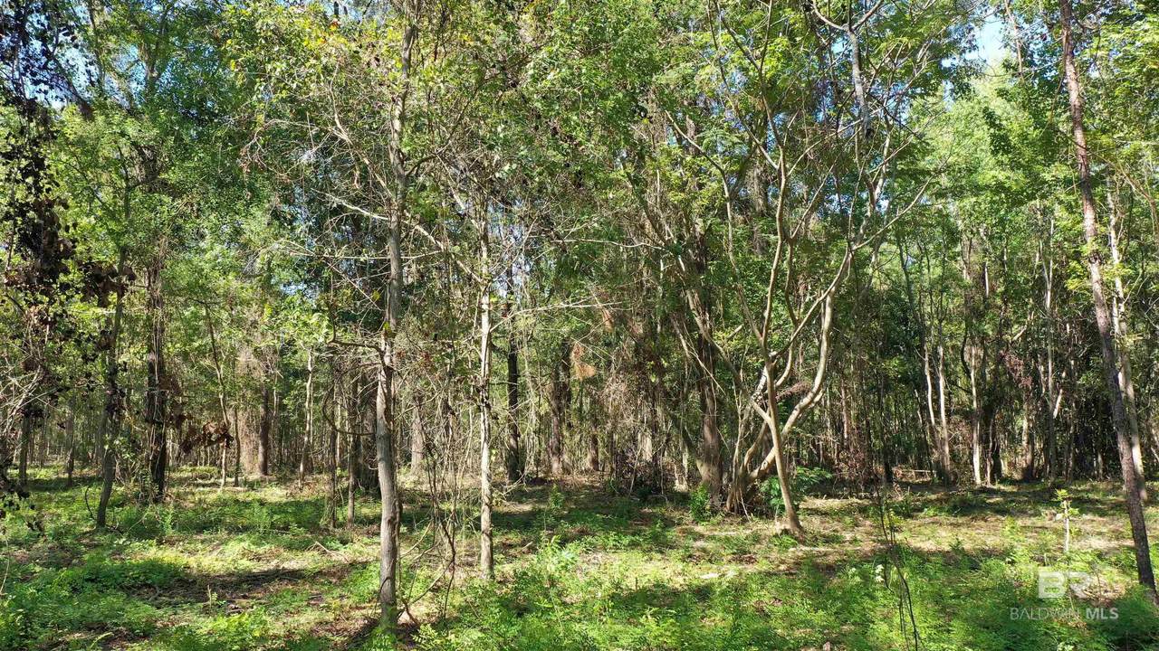 Lot 2 Harris Street - Photo 1