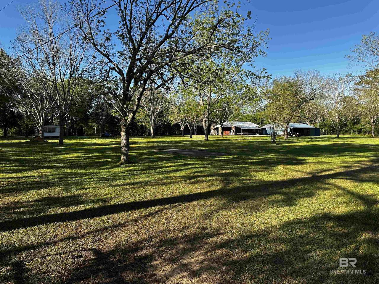 12923 Wiggins Road - Photo 1