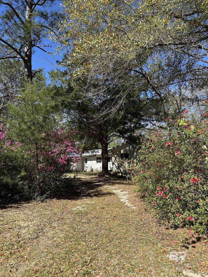 8731 Byrnes Lake Road - Photo 1