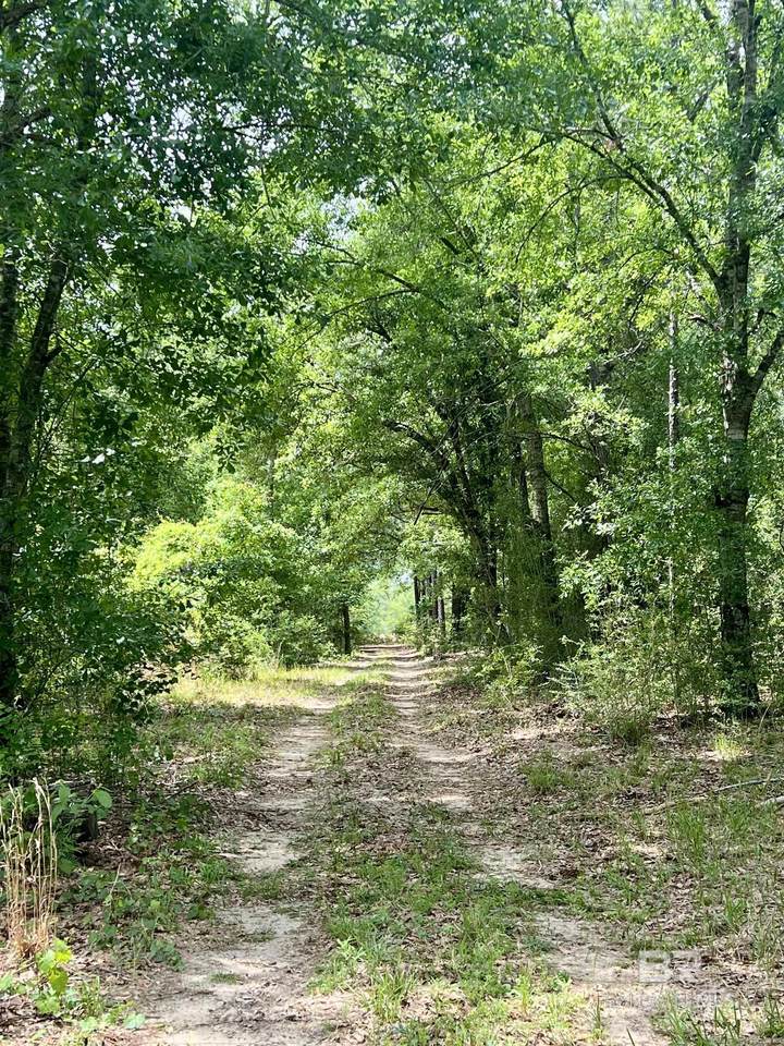 0 Glass And Spivey Road - Photo 1