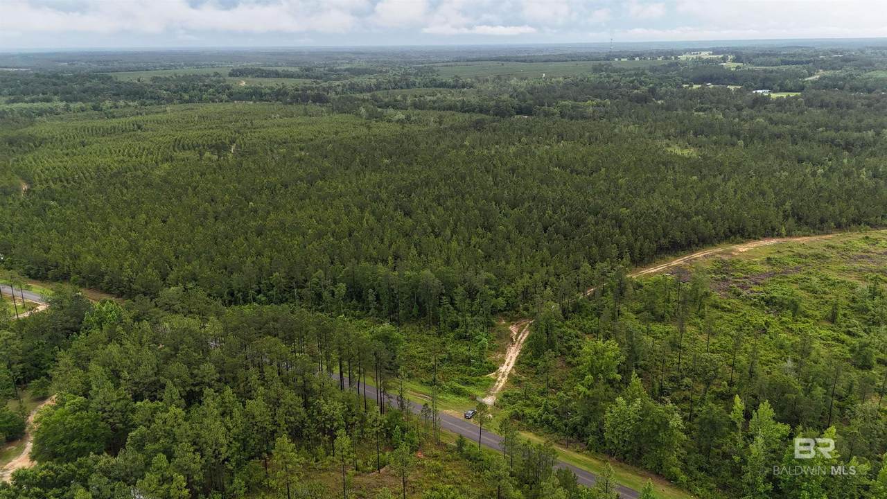 Lot 4 & 5 Lonnie Hadley Road - Photo 1