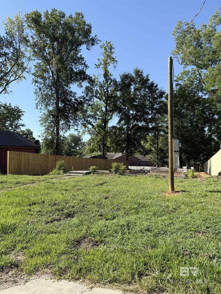 503 Franklin Avenue - Photo 1