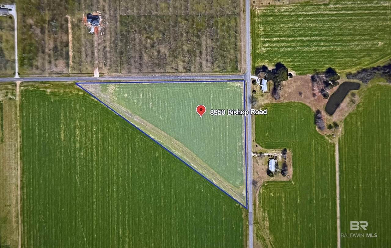 8950 Bishop Road - Photo 1