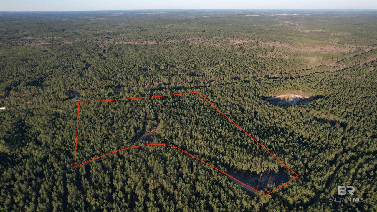 0 Bull Springs Trail - Photo 1
