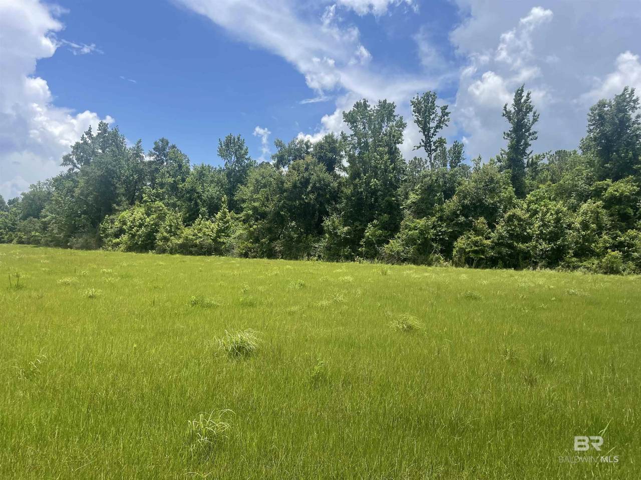 15660 Louis Cooper Road - Photo 1